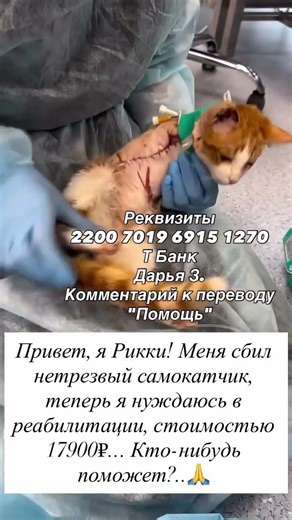 For help, click on this text