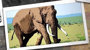 Akvis präsentiert: ArtWork