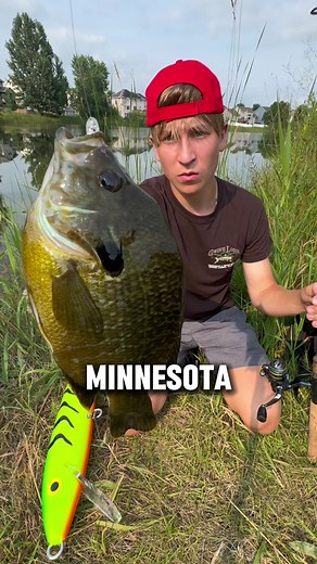Catching Bluegill: Fishing Tips and Techniques
