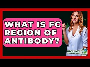 What Is FC Region Of Antibody? - Biology For Everyone