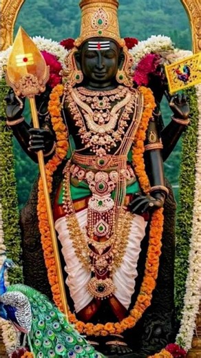 #shortvideo வேண்டிய வரத்தை தருபவனே முருகன் அவனை நம்பினால் கைவிடமாட்டார் 🙏🦚