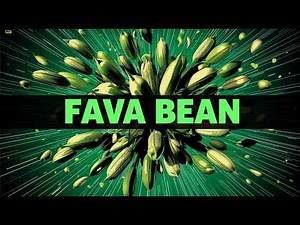 Fava Bean Explained: Nutrition, History, Health Benefits & Global Uses