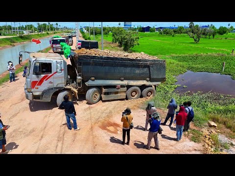 New Landfill Site Formed Be Careful ! Dozer & Dump Truck 25.5Ton Teamwork on massive fill job !!