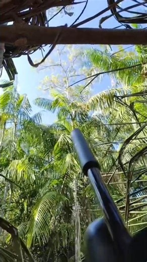 MINITEC DON'T WAIT LONG..