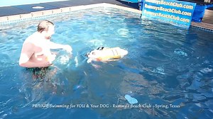 XANDER & LEILA — FLOATIES, FETCH & FUN 💦🐾 - Leila was living her best life on the floatie this week — she got on and just refused to get off! 😍 Total pool-day queen vibes. And those camera-ready looks? She’s as photogenic as they come! Meanwhile, Xander was his usual high-energy self — launching off the dock, chasing his toys (“piggies!”), and making the biggest splashes. These two love both the pool and the yard, and it’s always a fun, full day when they visit Rummy’s. 💡 Fun fact: Boxers we