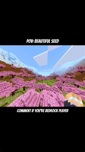 Minecraft"Best survival seed" 🤯🫢 #minecraft #minecraftseeds #minecraftshorts