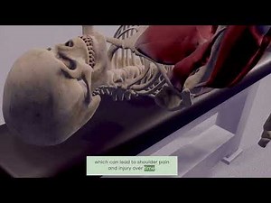 Scapular Movement and Shoulder Health