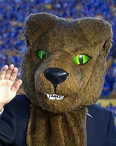 38K views · 418 reactions | Pitt Panthers on Reels | Facebook