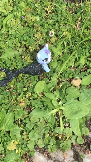 HELP! 😳 #lps #lpscustom #lpsmuser #fyp