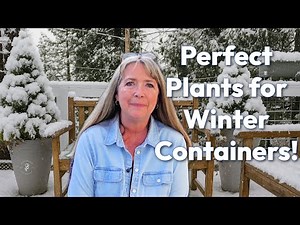 10 Hardy Plants for Winter Containers That Survive Cold Weather!