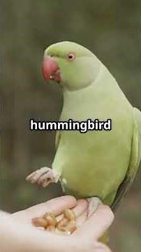 15 Fascinating Facts About Birds