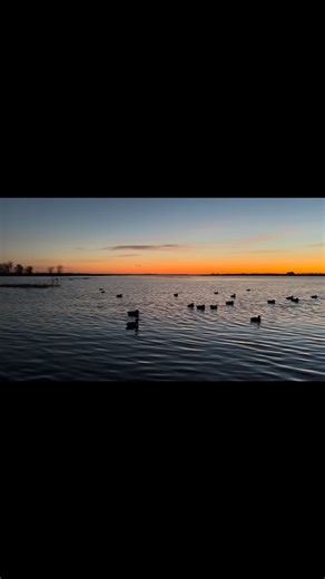 3.4K views · 88 reactions | This might be my favorite time of the day!! Xpress Boats Yamaha Outboards Boss Shotshells Wieda's Marine Lakewood Products T-H Marine Supplies American AF Guns & Hunting Mossy Oak Mustang Survival Humminbird Pickett Equipment Parts #NorthDakota #sunrise #gotime #waterfowlhunting #morningvibes #bigducks #littleducks #gottaloveit | Bill Lowen | Facebook