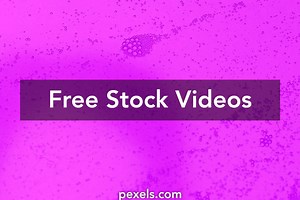 Purple Live Background Videos, Download The BEST Free 4k Stock Video Footage & Purple Live Background HD Video Clips