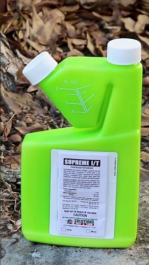 The Quick Guide to Leafrollers! [DIY Pest Control]