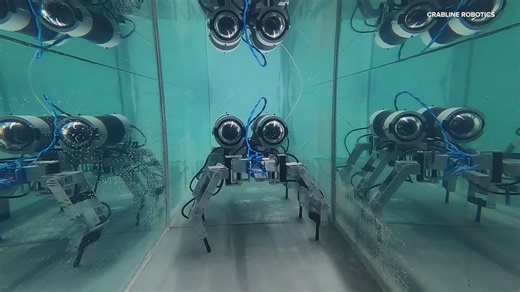 CrabLine Robotics' innovative crab-like robots gain attention at CES: Mission possible