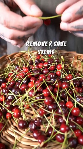 You can do much more than just preserve stone fruit! #foryourpage #fyp #stonefruit #LearnOnTikTok #tiktokshortfilm # #garden #gardening #plants #flower #jardin #mygarden #plant #succulent #succulents #instagarden #garten #gardens #flowerstagram #cactus #instaflower #flowersofinstagram #botanical #gardenlife #ガーデニング #flores #庭 #succulove #gardener #floweroftheday #flowermagic #horticulture #instagardenlovers #blossom #bloom #trädgård | GardenTime