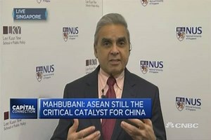 A strong ASEAN is in China's interest: Mahbubani