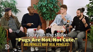 95K views · 49 reactions | Pugs are not, not cute. And Pringles Wavy are not, not Pringles. But have you seen an X-ray of a pug’s skull? Horrifying. #ad Watch more Not, Not Worth Getting Upset Over here: on.cc.com/2MgkDbZ | Comedy Central | Facebook