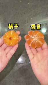 Tricked by Animation Realness? Discover the 2D Magic! AnimationRealness Anime SecondDimens