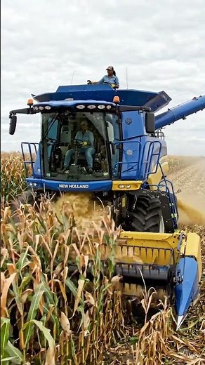 New Holland Combine Harvester Harvesting Corn | Powerful American Farming Machine 🚜🌽