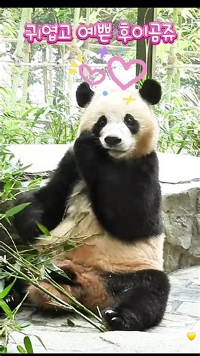 25.10.08 Cute and smart Huigomju who uses both his hands and feet💕