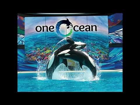 One Ocean - Full Soundtrack