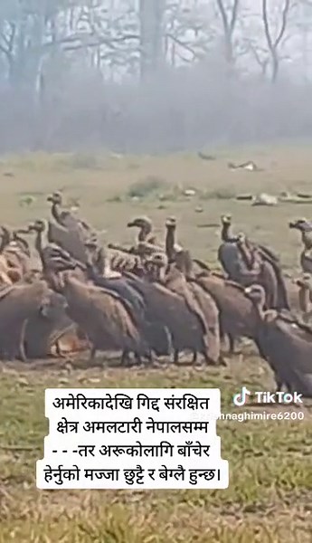 Krishna Ghimire6207 on TikTok