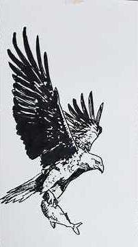 EAGLE DRAWING TUTORIAL!