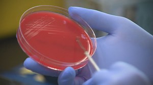 Coronavirus: A look inside a lab to see how COVID-19 testing actually works