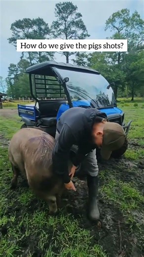 Joseph's tried and true method involves a booty scratch. Quick. Easy. Stress-free. #animalsanctuary