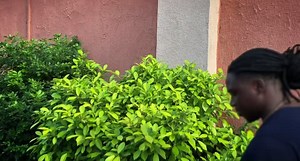 Just saying 😫 . . . #google #google it | Itsatela_