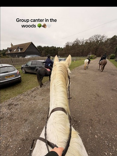 Fun Equestrian Group Canter Hacks with Friends
