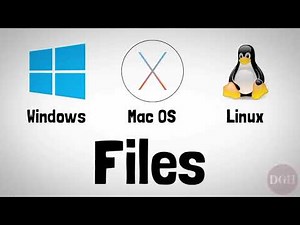 📁 File Management – Part 1: Understanding File Extensions