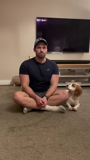 Engaging Eye Contact Training with Cute Working Cocker Puppy Gweni