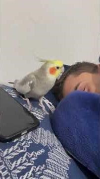 The Never-Ending Alarm 😂 | Funniest Morning Fails & Relatable Chaos