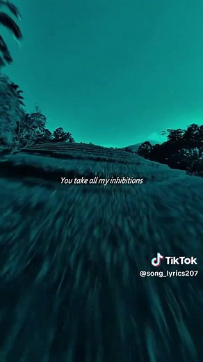 There's Nothing Holding Me Back — Shawn Mendes Lyrics