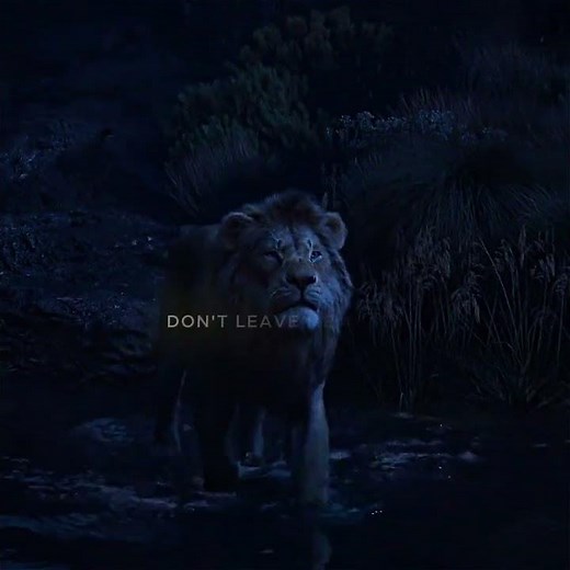 “Who Are You?” – Simba’s Emotional Moment | The Lion King