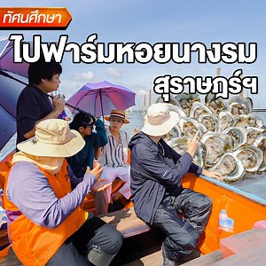 10K reactions · 825 shares | นั่งเรือออกไปครึ่งชั่วโมง เพื่อไปดูฟาร์มหอยนางรมกลางทะเล寧 - ทัศนศึกษา [ENG SUB] | เสือร้องไห้ | Facebook