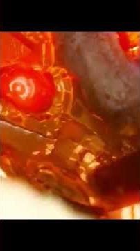 I'm dangerous by the Everlove