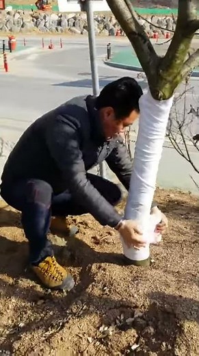 동해방지용 나무보온재 사용법