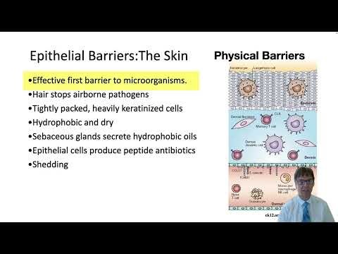 Immunity Overview and Innate Immunity - Complement