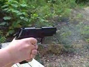 sig sauer 22. mosquito