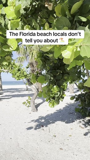 Florida’s hidden gem 🌊 Nokomis Beach is calm, local & peaceful — just minutes from Sarasota. Stay 1 mile away at the new Holiday Inn Express Nokomis: free breakfast, pool & modern rooms ✅ Tap the link to book your stay today! #tiktokgotrick #nokomis #floridabeaches #beachvacation #floridatravel