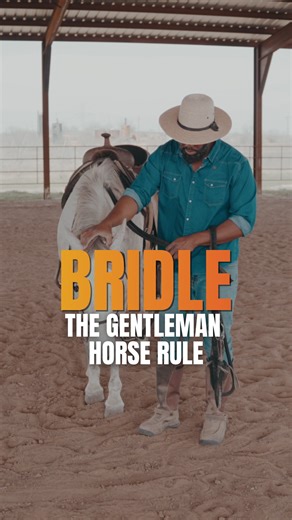 Stop jamming the bit in your horse’s mouth. Most horses fight the bridle because nobody taught them the quiet way first. If your horse can’t lower their head calmly… the problem starts before the bridle. 🔗 Watch the full training 👉 Link in bio #HorseTraining #HorseTrainingTips #HorseSoftness #GroundworkTraining #HeartOfPhoenix #SteadyHorse #NoahTY #UnbreakableBond