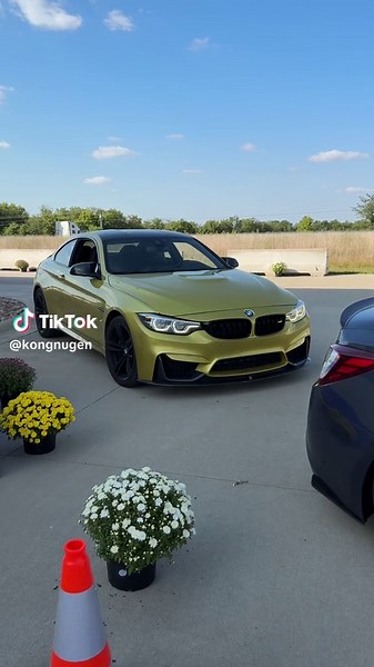 Exploring the BMW M4 and Its Community