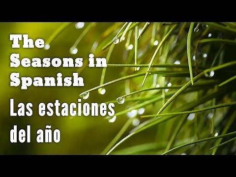 The Seasons in Spanish (audio examples + tips) - Las Estaciones del Año
