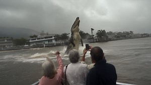 2.2M views · 29K reactions | Unbelievable Massive Crocodiles Discovered In South East Asia #crocodiles #croc #asian | Most Amazing Top 10 | Facebook