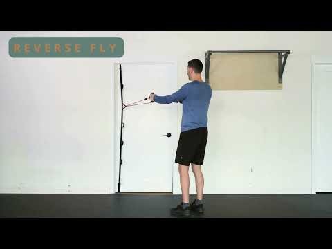 Reverse Fly with Resistance Bands – Strengthen Upper Back and Improve Posture