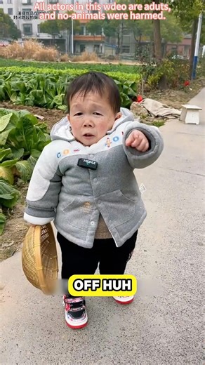 Make a dish using a pig’s head.