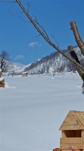 Juicy Beef Steaks on Salt Block! Cooking in the Snowy Mountains of Azerbaijan!P4 #farawayvillagefamily #cooking #asmr #village #vlog | Farawayvillage Family01 great